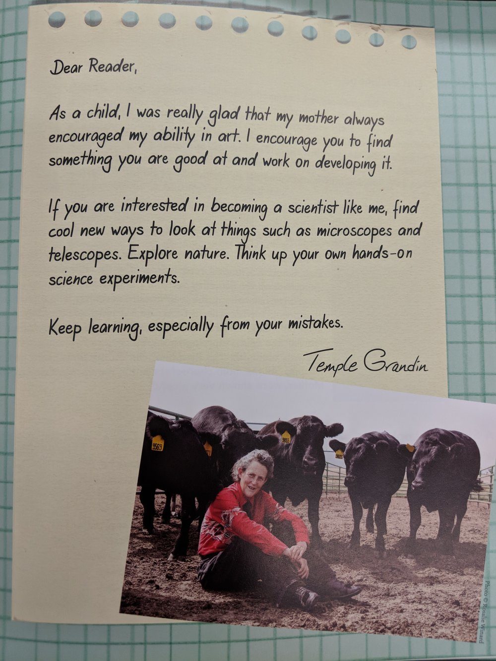 mvimg_20180527_143358-6180207