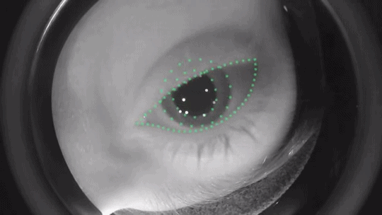 eyetracking-htc-vive-7493441